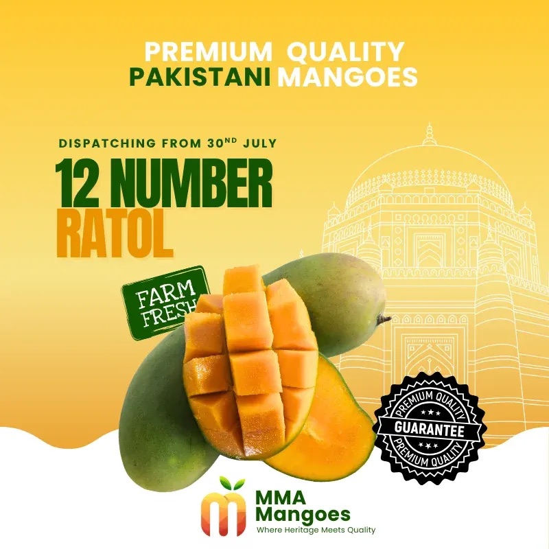 12 Number Ratol from MMA Farms, Multan