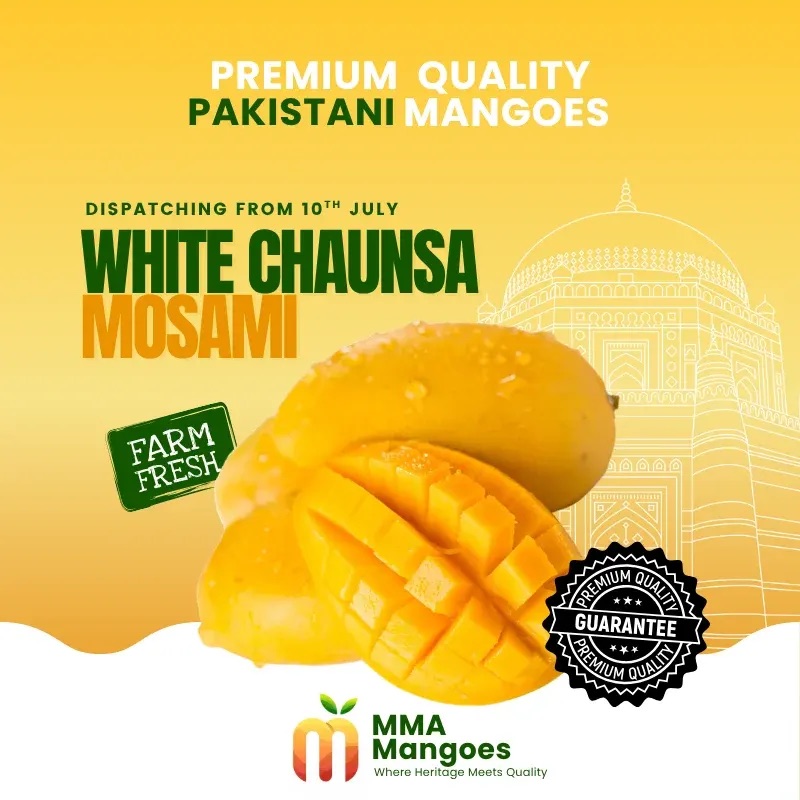 Chaunsa from MMA Farms, Multan