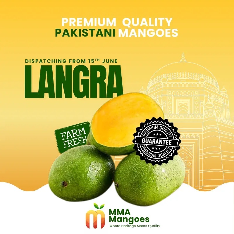 Langra from MMA Farms, Multan